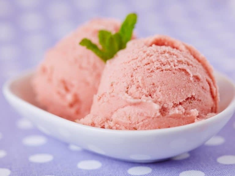 Types Of Ice Cream Are There More Than One Type Northern Nester