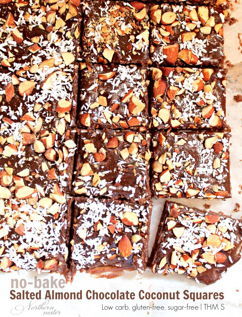 salted-chocolate-almond-coconut-squares