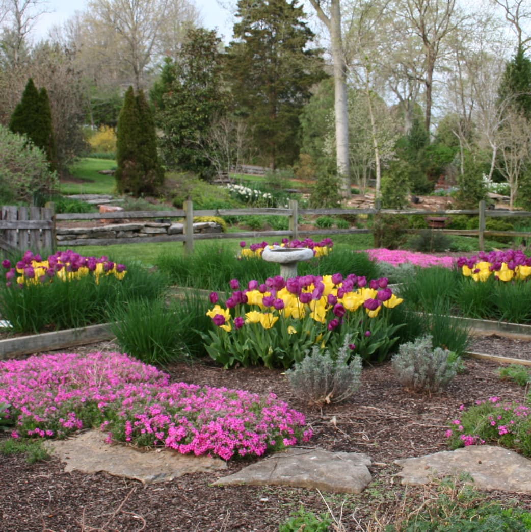 How To Incorporate Bulbs Into Your Landscape Northern Nester