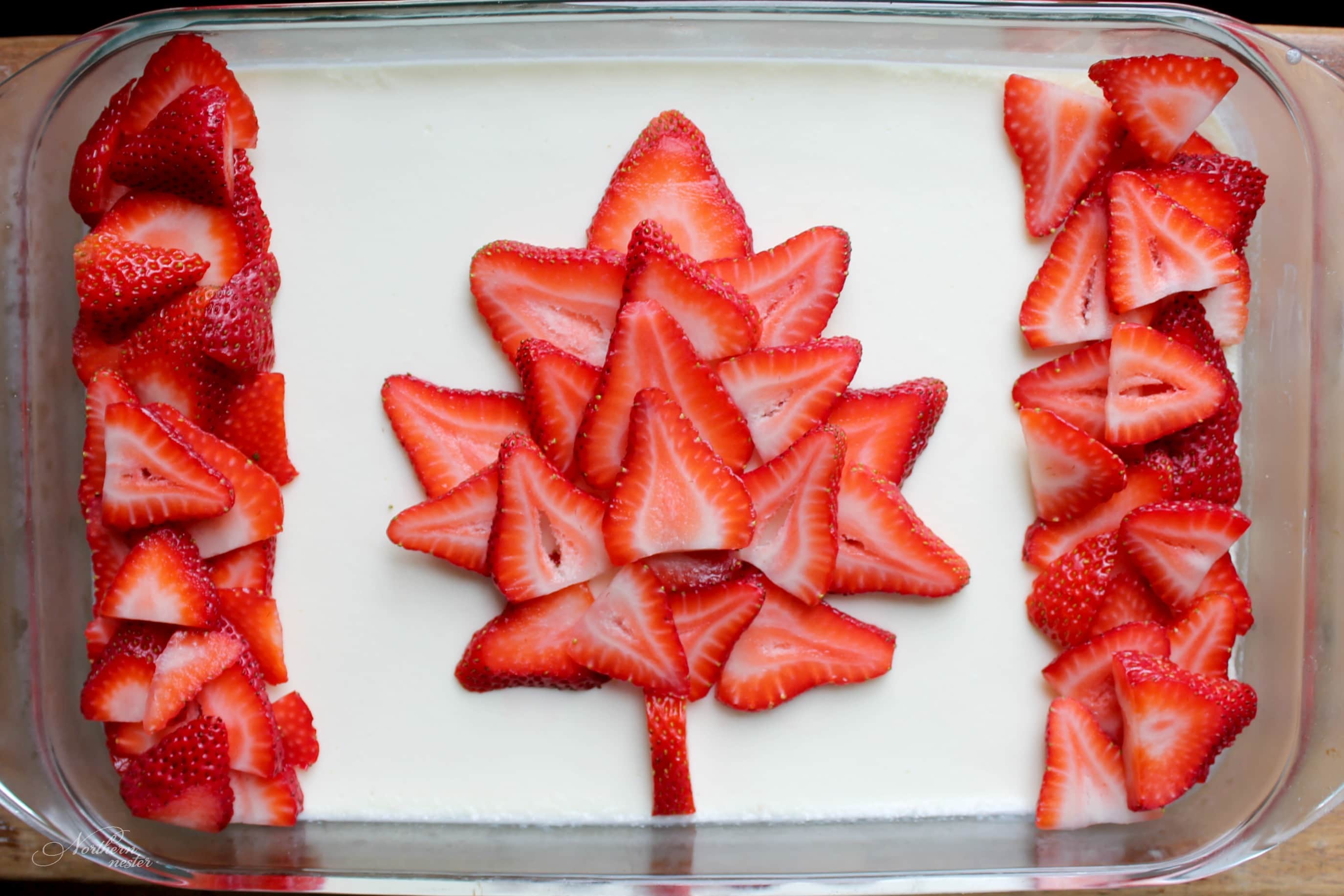 Watermelon Canada Cake - No Dairy No Cry