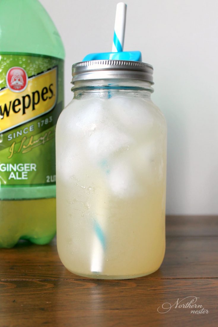 Ginger Ale GGMS | THM: Sipper