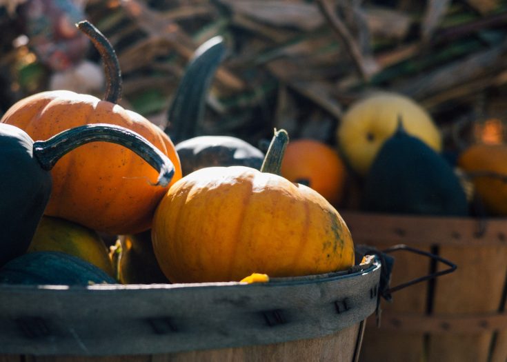 Pumpkin Spice Blend