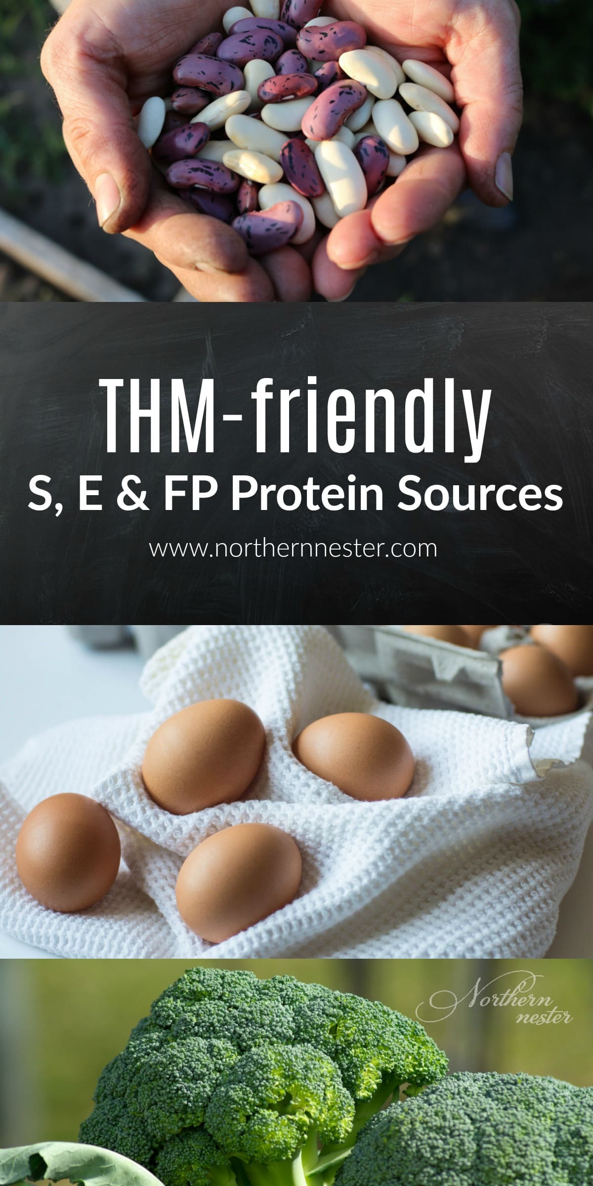 trim-healthy-mama-friendly-s-e-fp-protein-sources-northern-nester