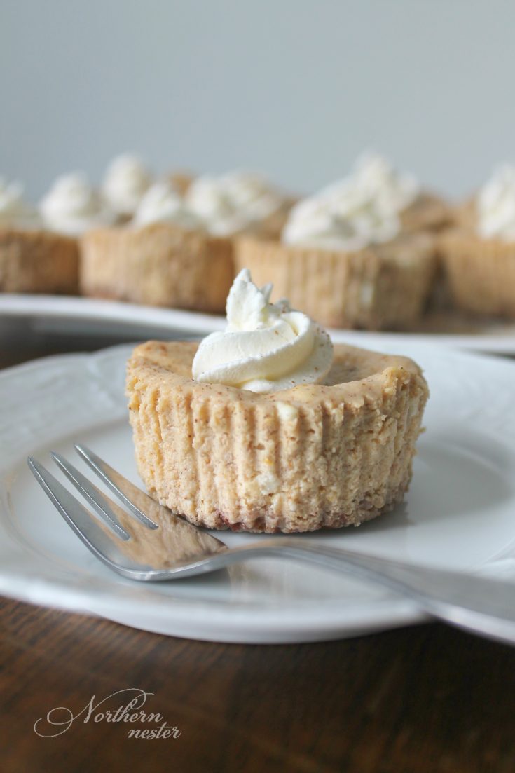 Mini Pumpkin Cheesecakes | THM: S