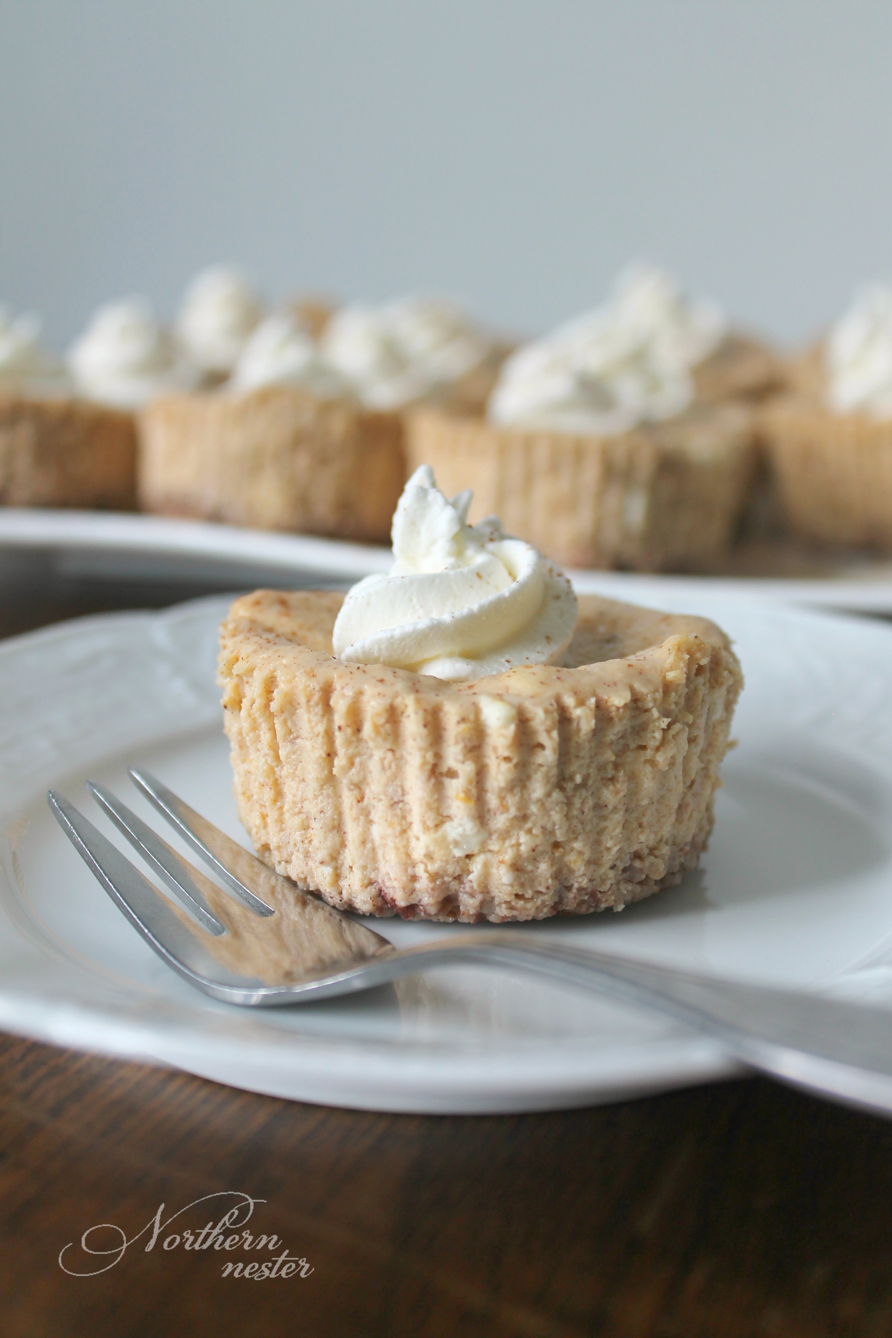 Mini Pumpkin Cheesecakes Thm S Northern Nester