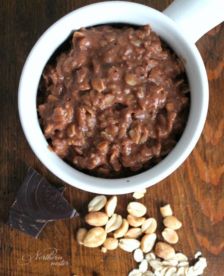 Chocolate Peanut Butter Cookie Oatmeal | THM: E