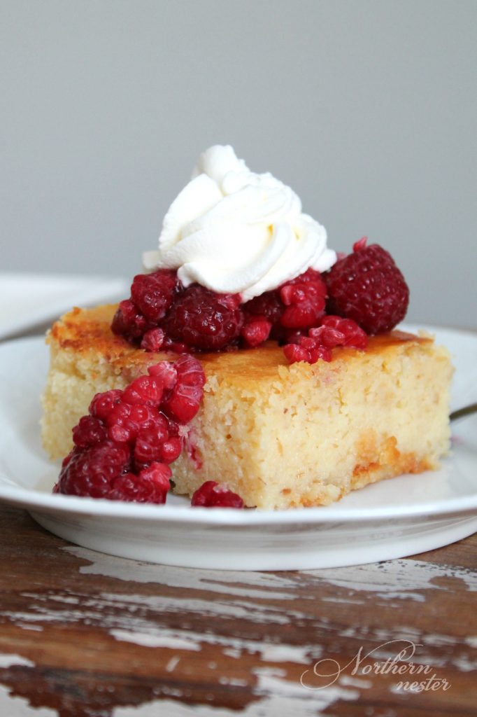 Lemon Yogurt Cake | THM: S - Northern Nester