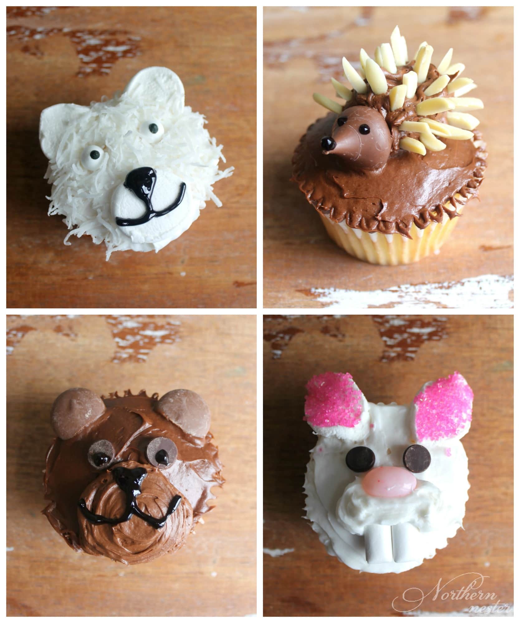 Easy Cupcake Decorating Ideas For Kids Northern Nester   Cupcakes For Kids  