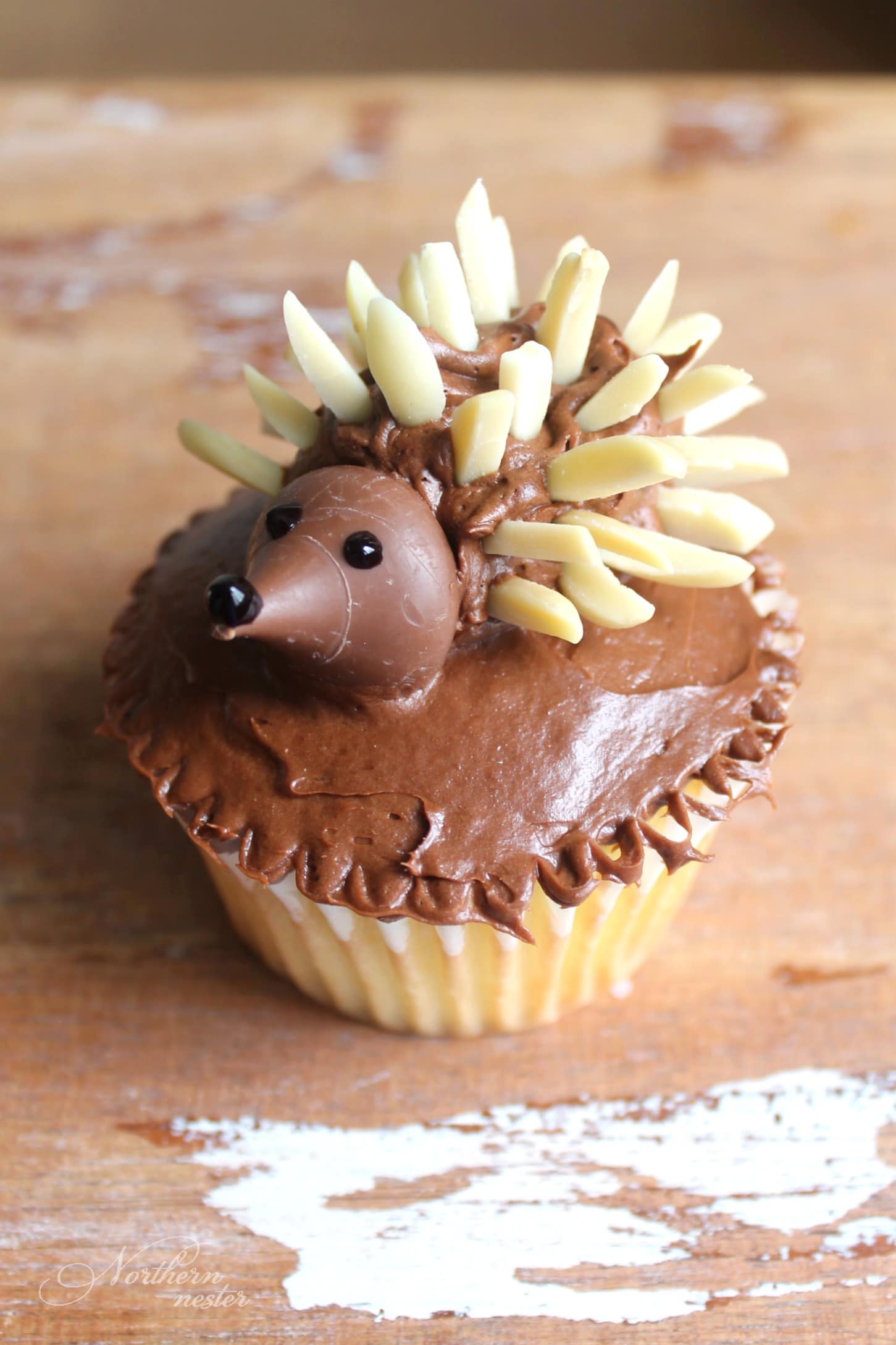 Easy Cupcake Decorating Ideas For Kids - Northern Nester