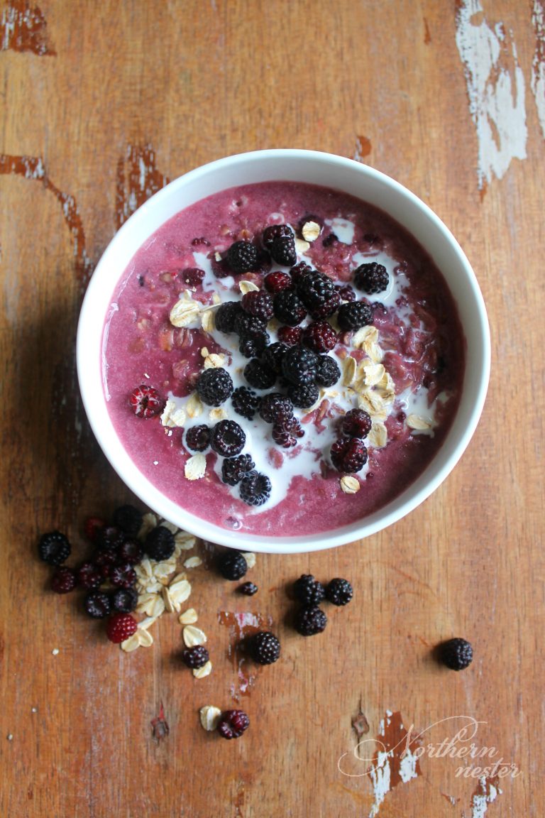 Field Berry Oatmeal | THM: E - Northern Nester