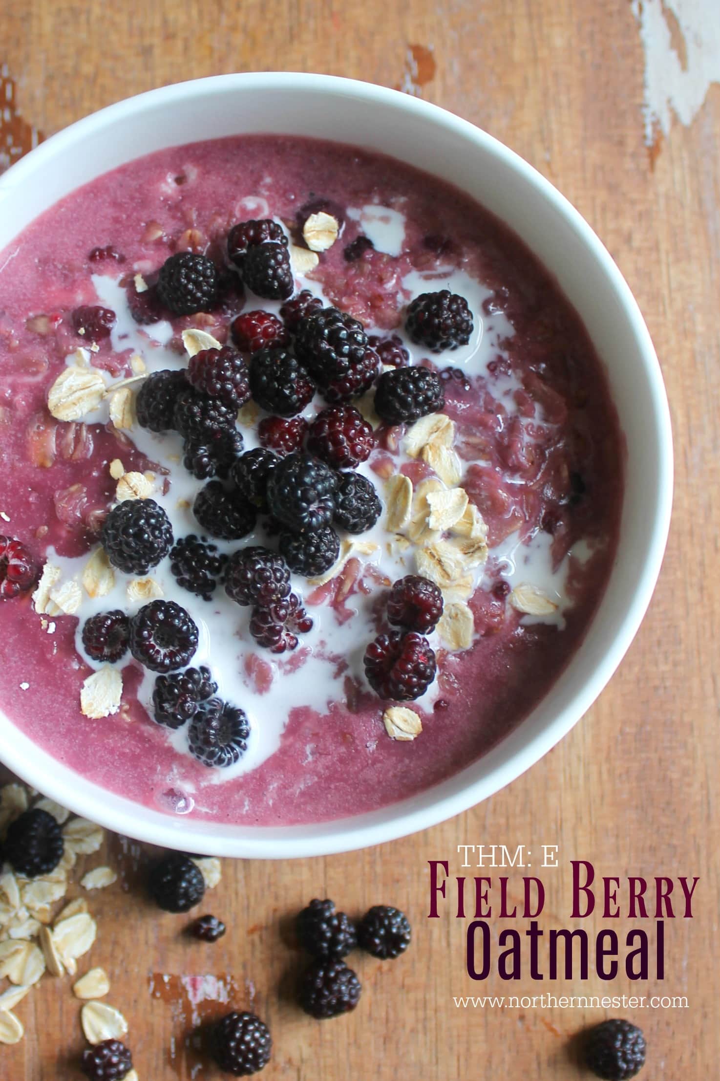 Field Berry Oatmeal | THM: E - Northern Nester