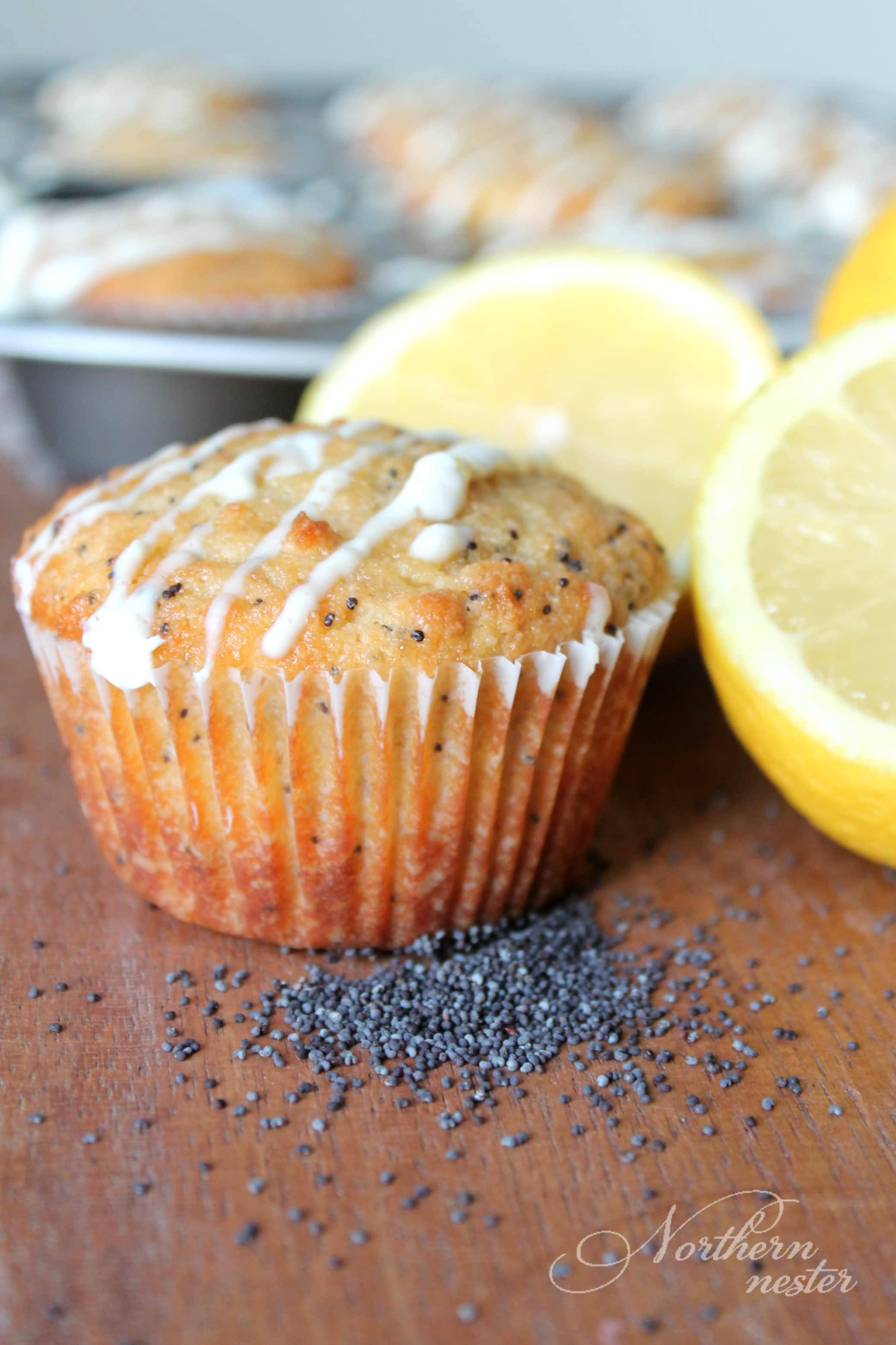 Rohnda&amp;#39;s Lemon Poppy Seed Muffins | THM: S, Keto, GF, DF - Northern Nester