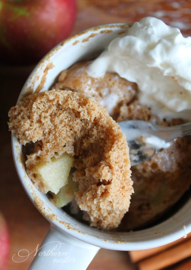 Apple Cake In A Mug | THM: E - Northern Nester