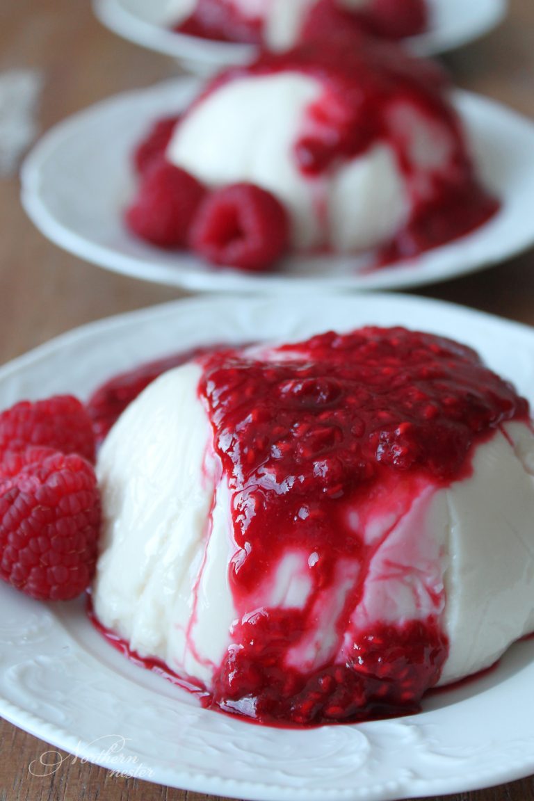 THM Fuel Pull Vanilla Panna Cotta With Raspberry Coulis Northern Nester