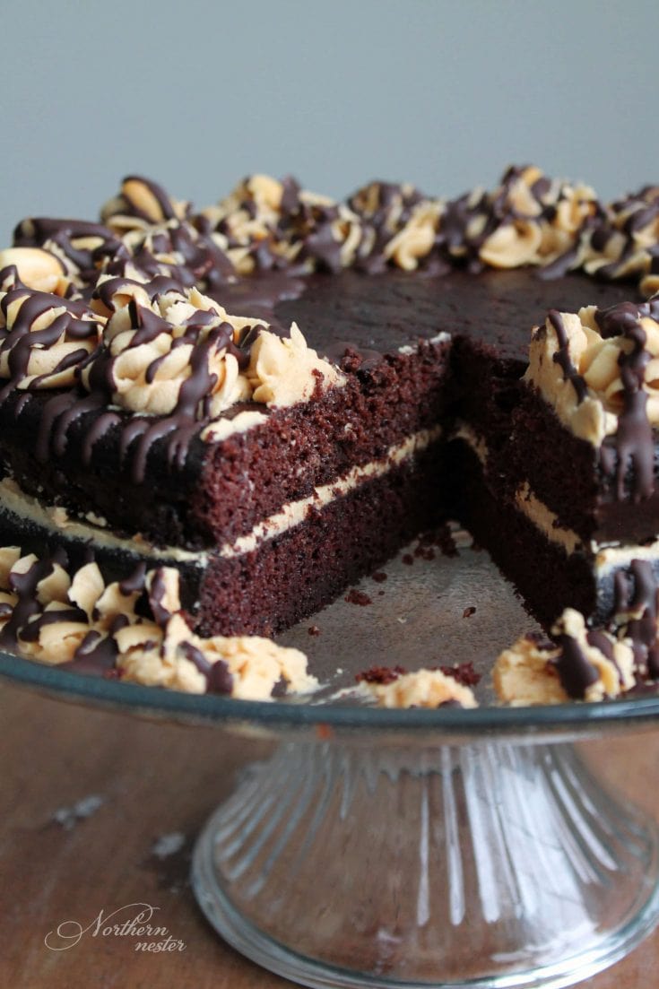 Almond Flour Chocolate Cake (Gluten-Free)