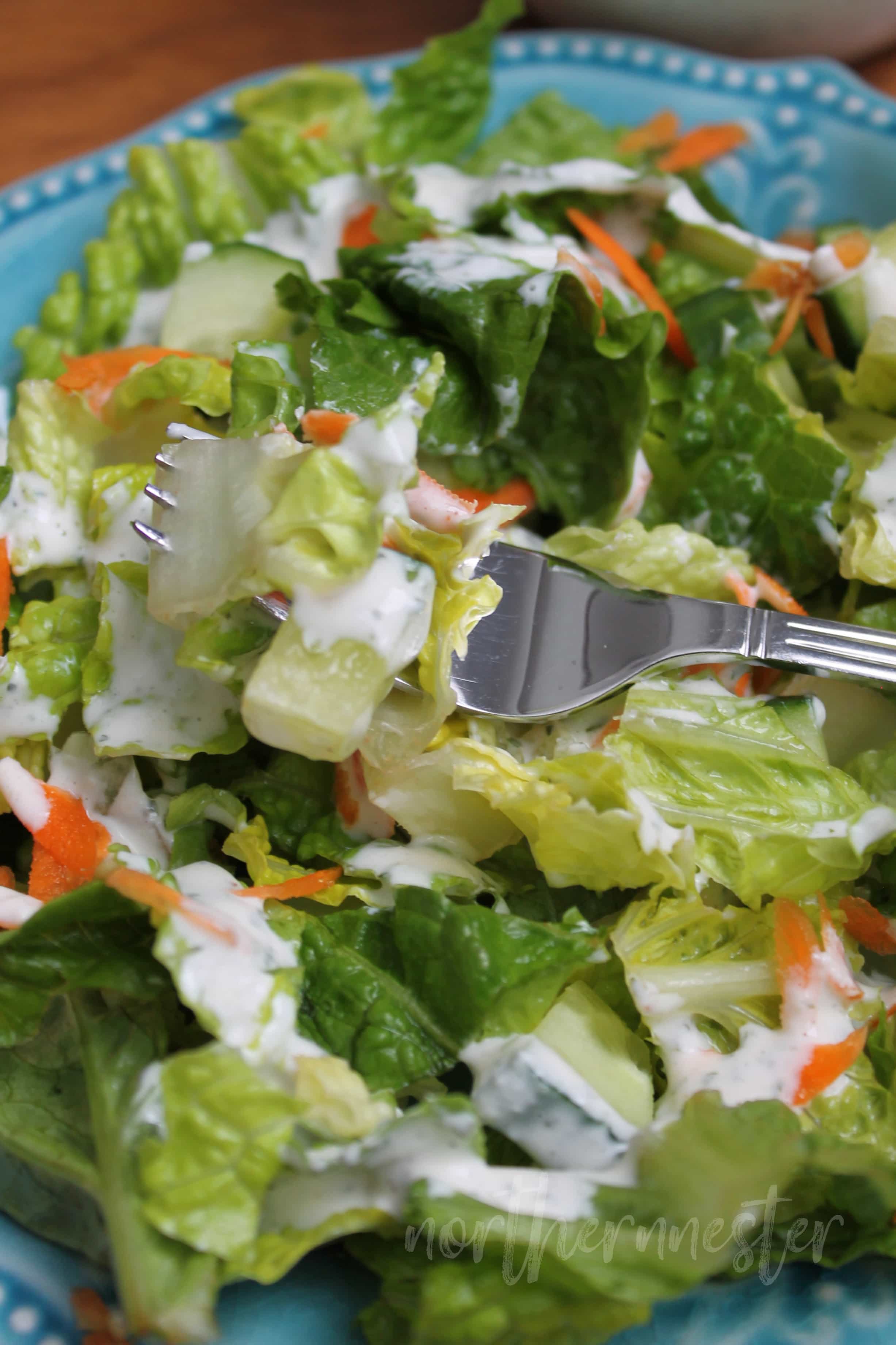 Low Carb Blender Ranch Dressing (THM S)