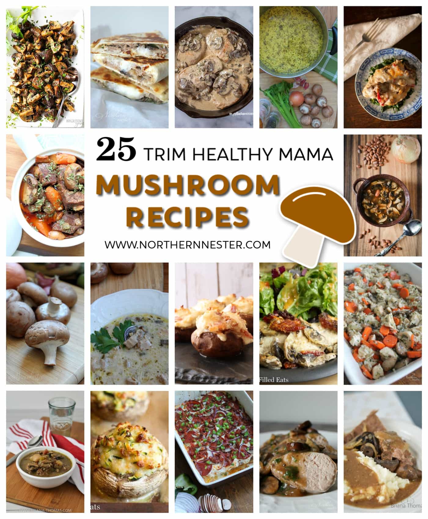 25 Trim Healthy Mama Mushroom Recipes - Northern Nester