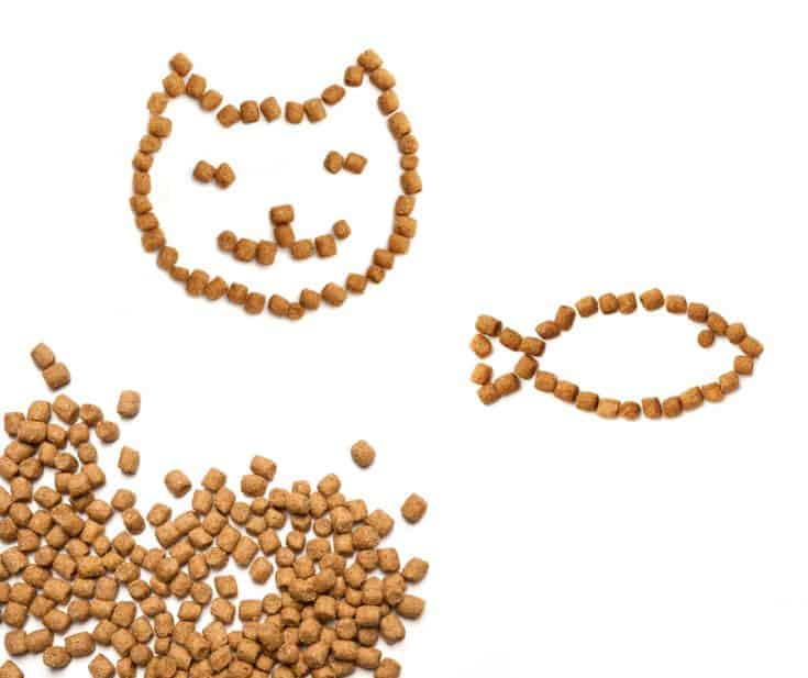 Can A Rabbit Eat Dog Or Cat Food? Northern Nester