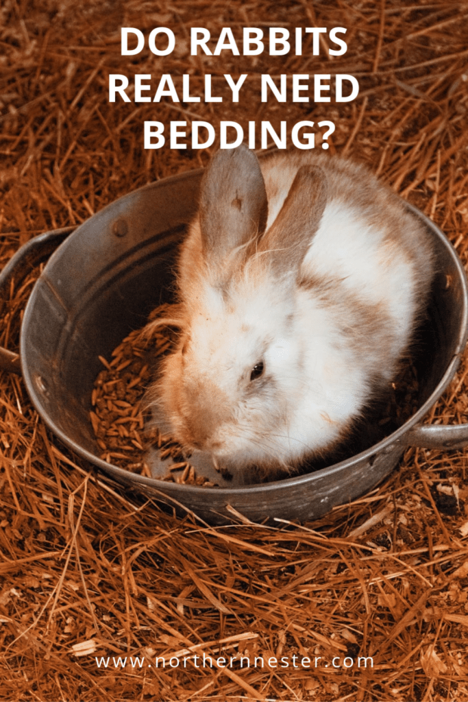 Bunny shop cage bedding