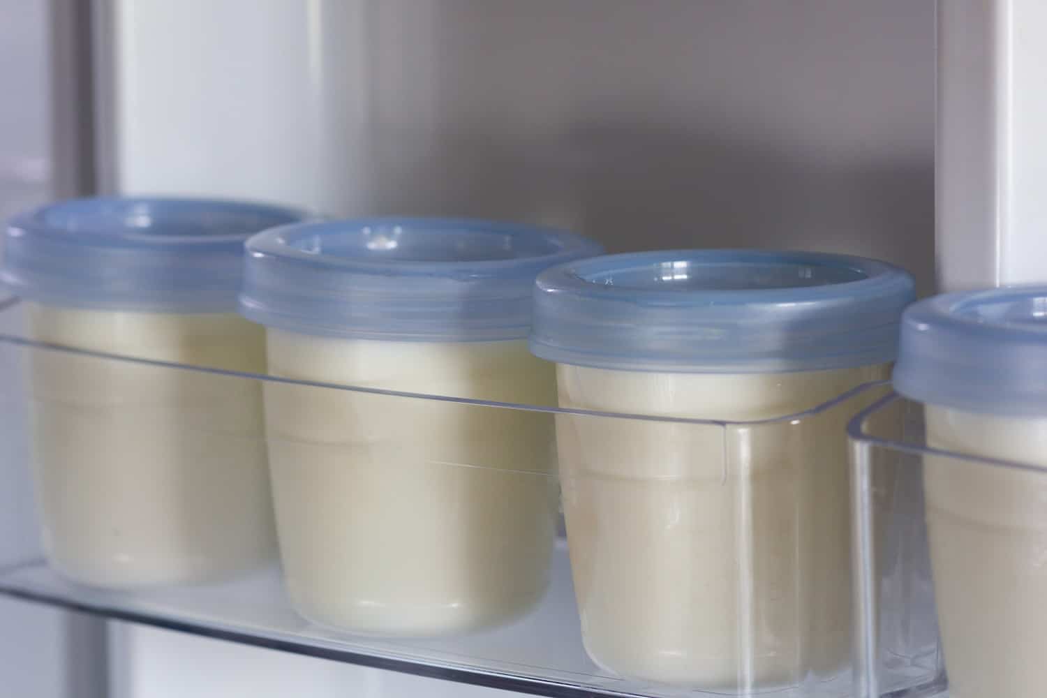 How Long Does Breast Milk Last in the Fridge Northern Nester