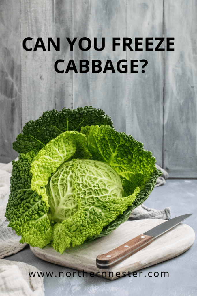 https://northernnester.com/wp-content/uploads/2020/02/can-you-freeze-cabbage-pinterest-683x1024.png