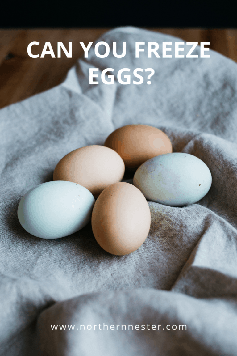 Can You Freeze Eggs? - Northern Nester