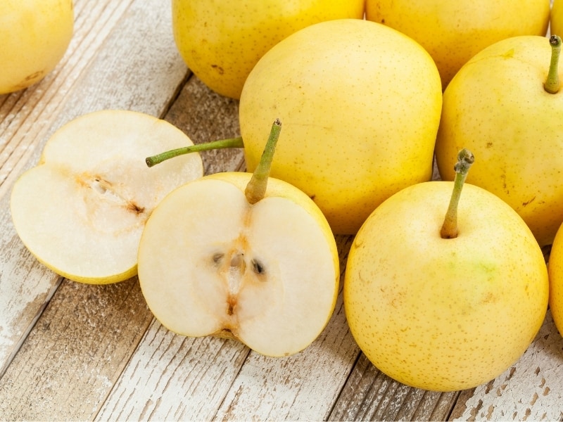 asian pear