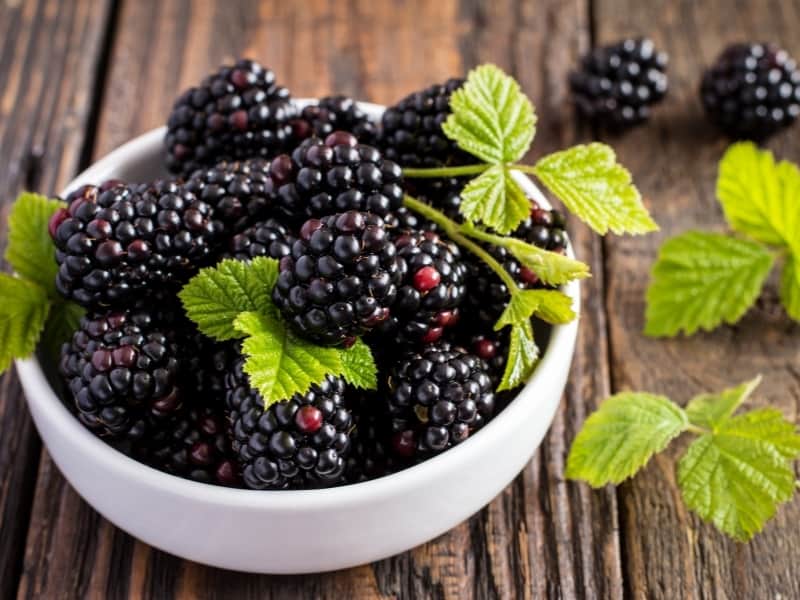 blackberries