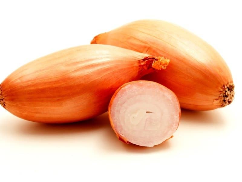 can you use shallots instead of onion