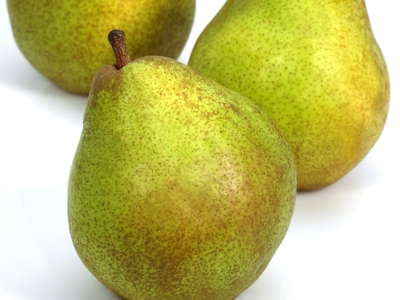 types of pears