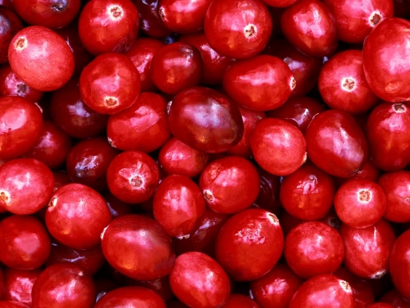 cranberries