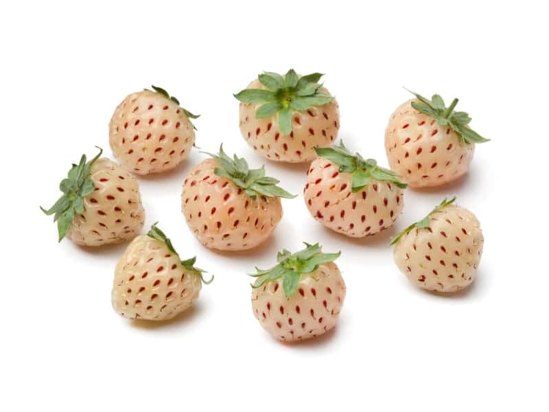 pineberries