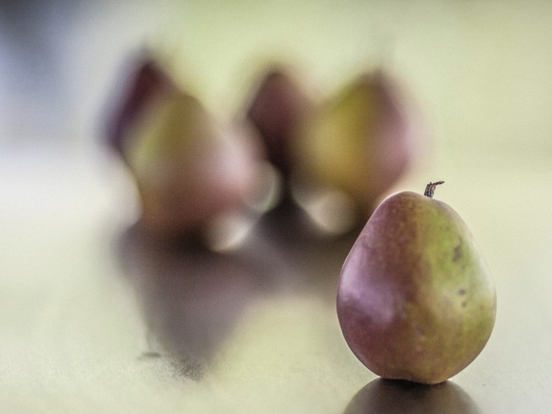 seckel pear