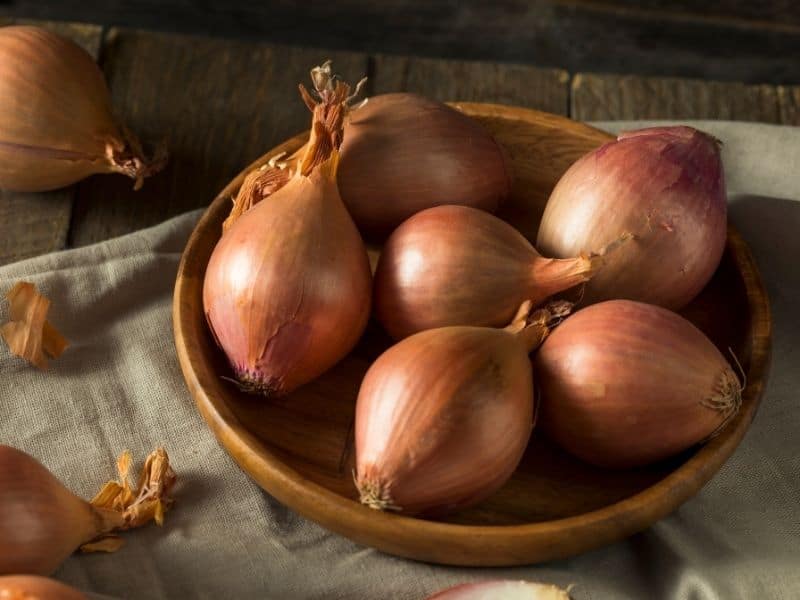 Shallots and echalions, what are the differences?