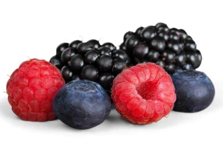 Types of Berries Healthy and Popular Choices Northern Nester