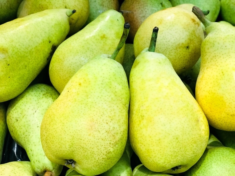 10-popular-and-common-types-of-pears-complete-guide-2023-northern