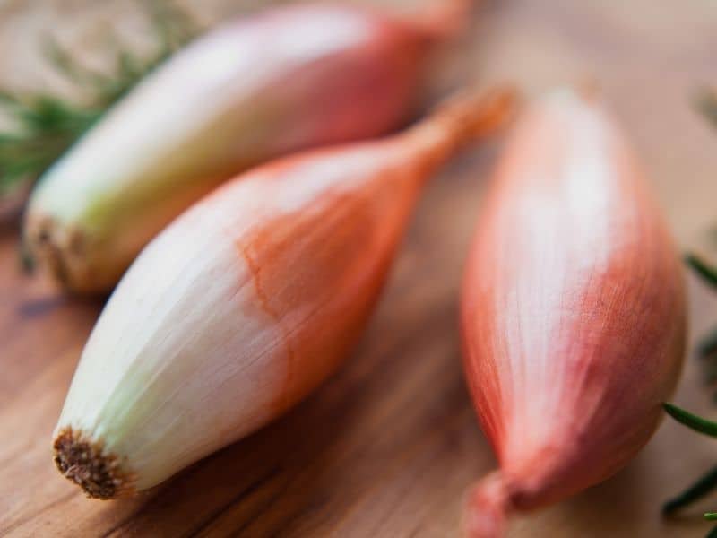 Shallots and echalions, what are the differences?