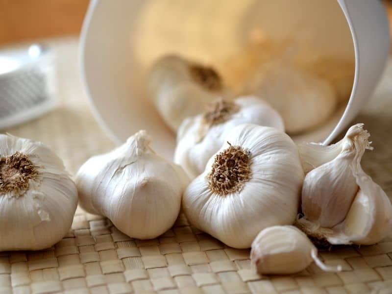 How To Store Garlic Simple Steps For Preservation Northern Nester