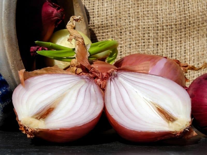 How to Store Onions So They Last Longer Than Your Most Recent Relationship