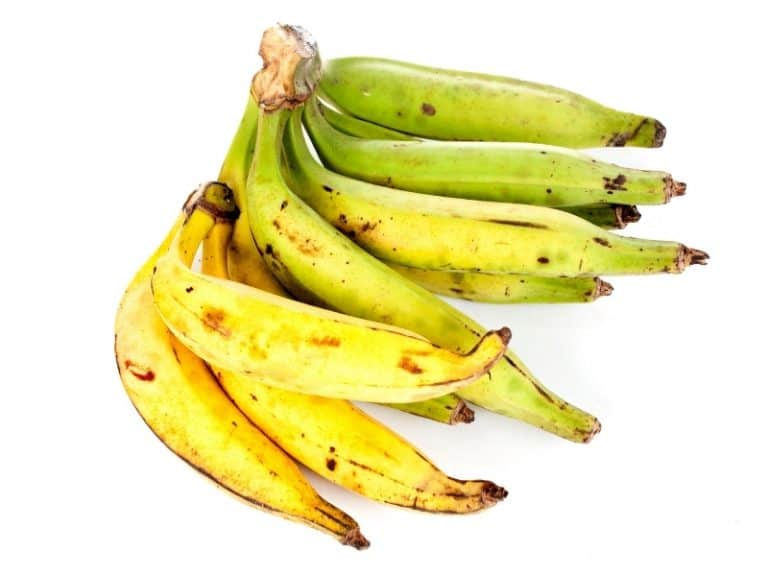 Plantain vs Banana Know the Difference! Northern Nester