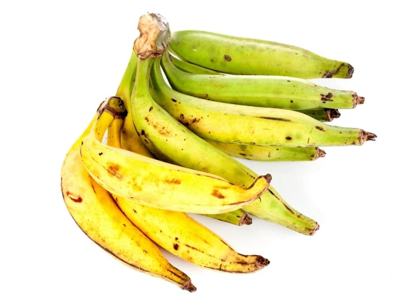 plantain bananas