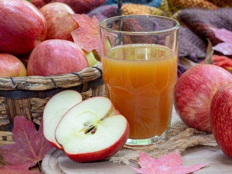 difference between apple juice and apple cider