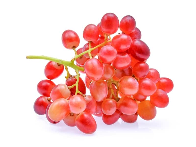 Crimson Seedless