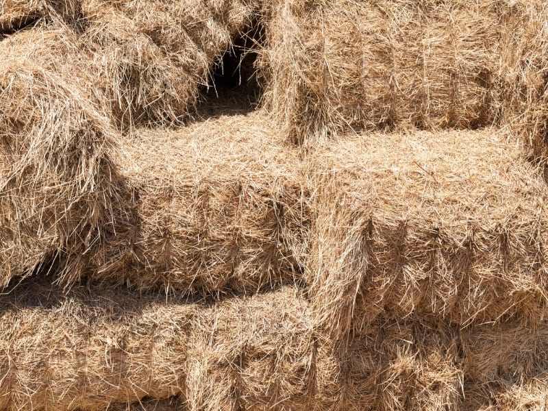 Hay Vs. Straw: What's The Difference? - Illinois Farm Bureau Partners