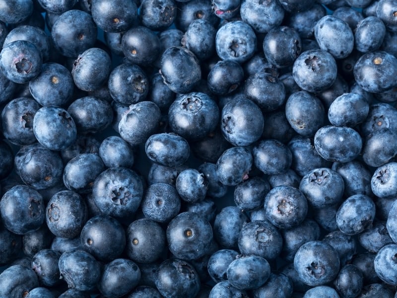 blueberries