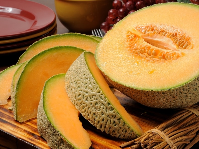 cantaloupe