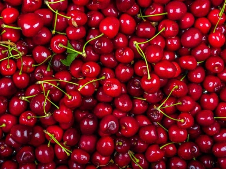 What Are The Different Types Of Cherries Cherry Varieties Compared Vrogue