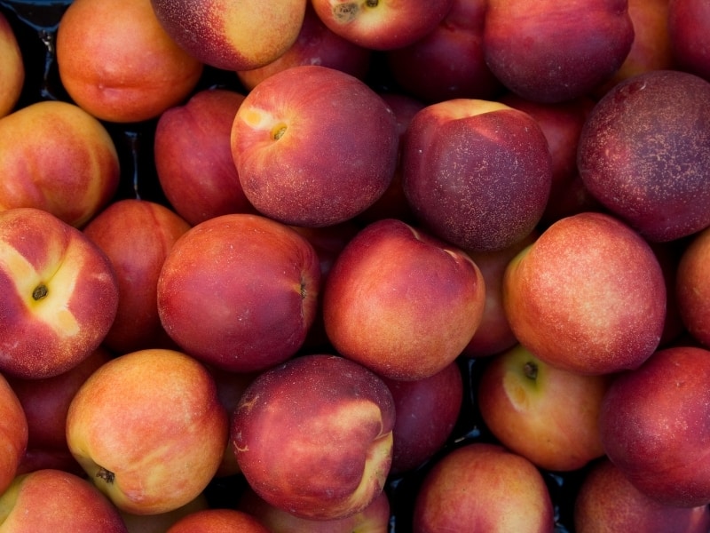 nectarines