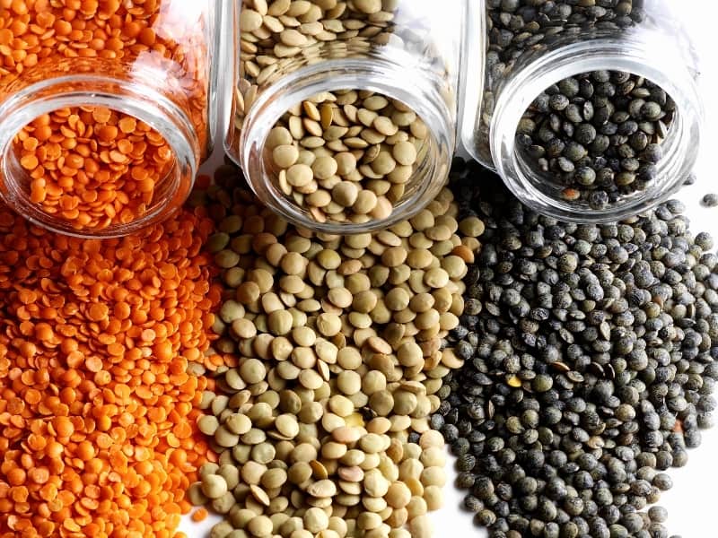 Types Of Lentils Complete List And Guide Northern Nester Types Of Lentils Complete List And Guide Northern Nester