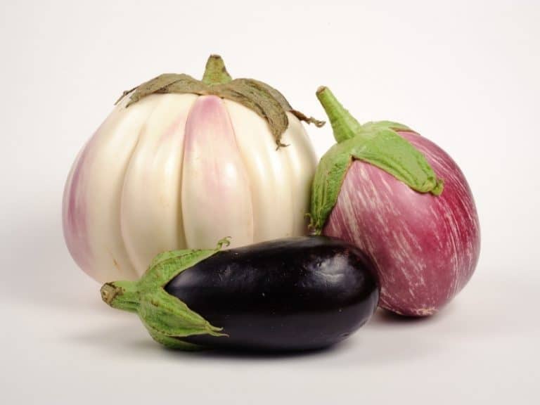 18 Types Of Eggplant - Complete List And Guide - Northern Nester